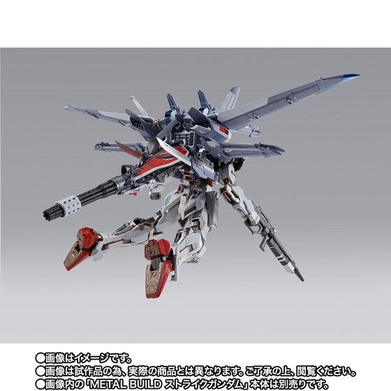 PRE-ORDER : METAL BUILD I.W.S.P.