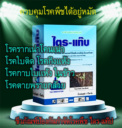 ไตร-แท๊บ[TRI-TAB, 500g]: ไตรโครเดอมาร์เชื้อราที่กินเชื้อราอื่นๆเป็นอาหาร ใช้ควบคุมโรครากเน่าโคนเน่าหรือโรคไฟท็อปฯ ในทุเรียนและโรคเชื้อราอื่นๆอีกหลายชนิด ใช้ง่ายปลอดภัย ใช้ได้ทันทีหรือขยายเชื้อได้ 100เท่า