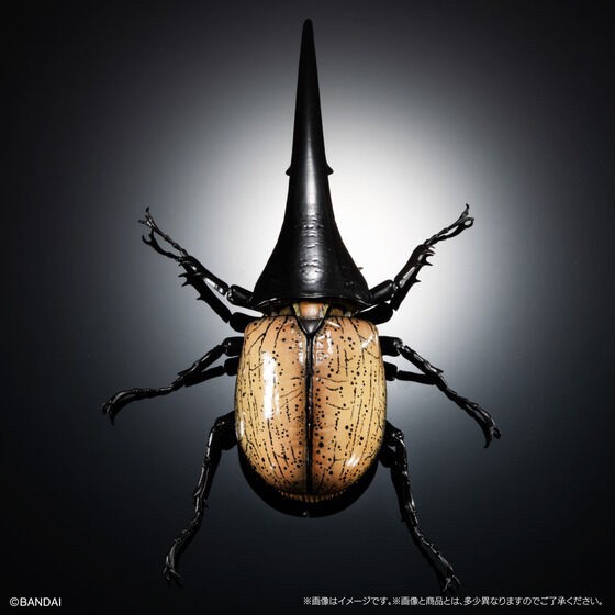 PRE-ORDER : Ikimono Encyclopedia Premium Hercules Beetle (Dynastes hercules)