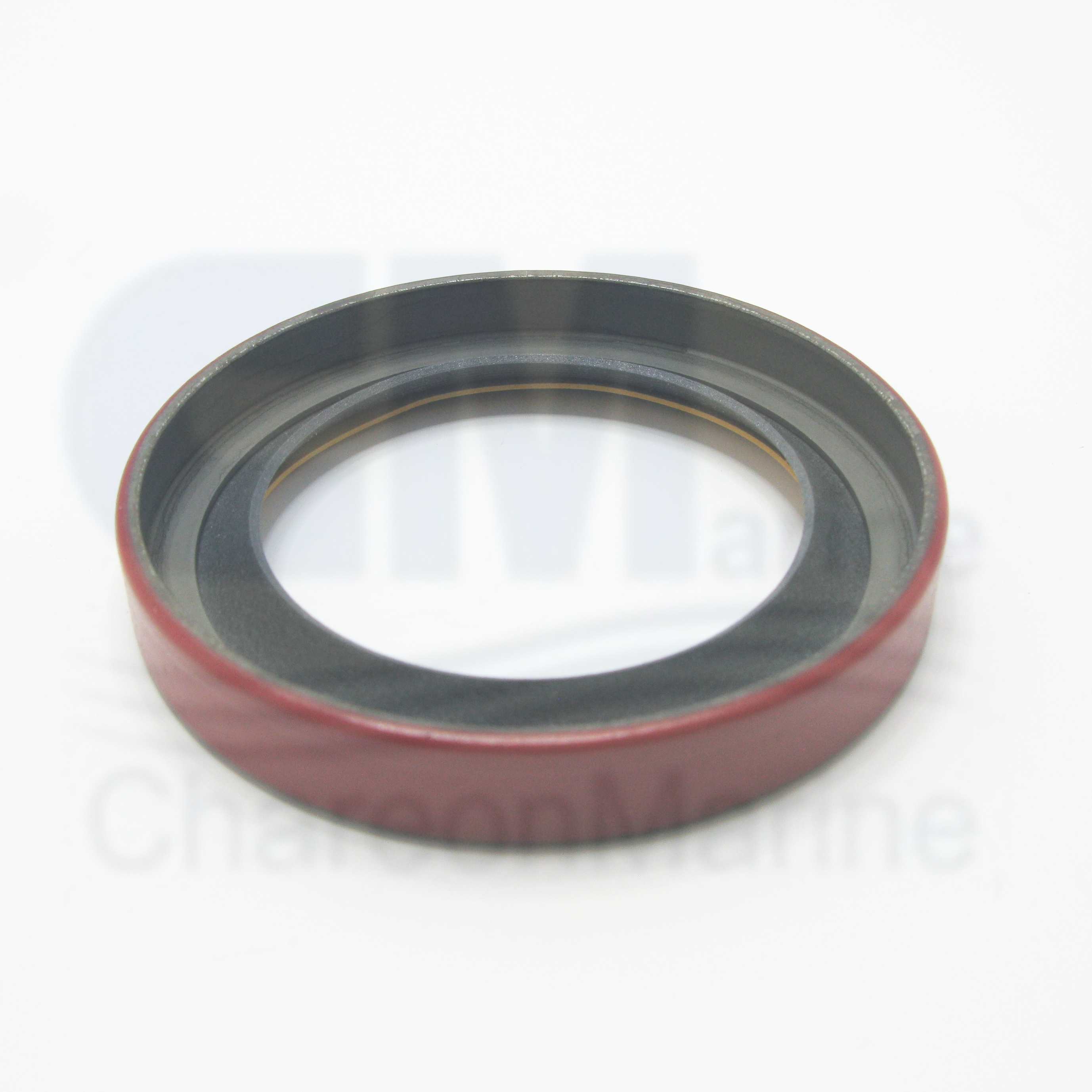 3628895 SEAL,OIL