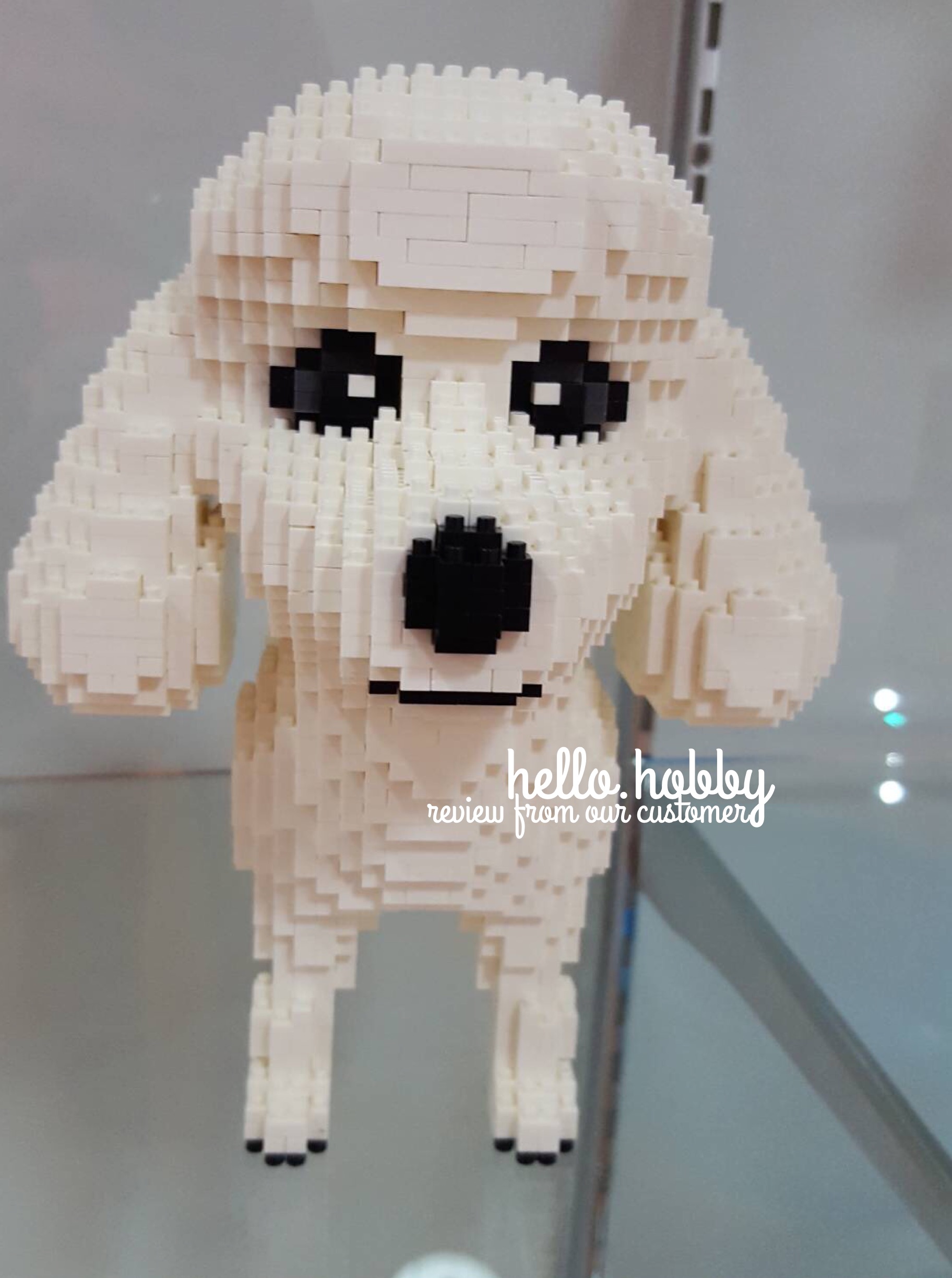 Balody 16040 Poodle 2100pcs