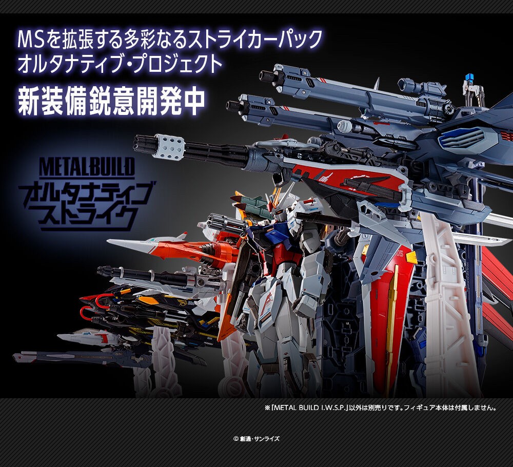 PRE-ORDER : METAL BUILD I.W.S.P.