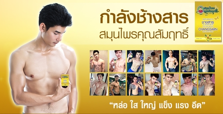 ช้างสารสมุนไพร