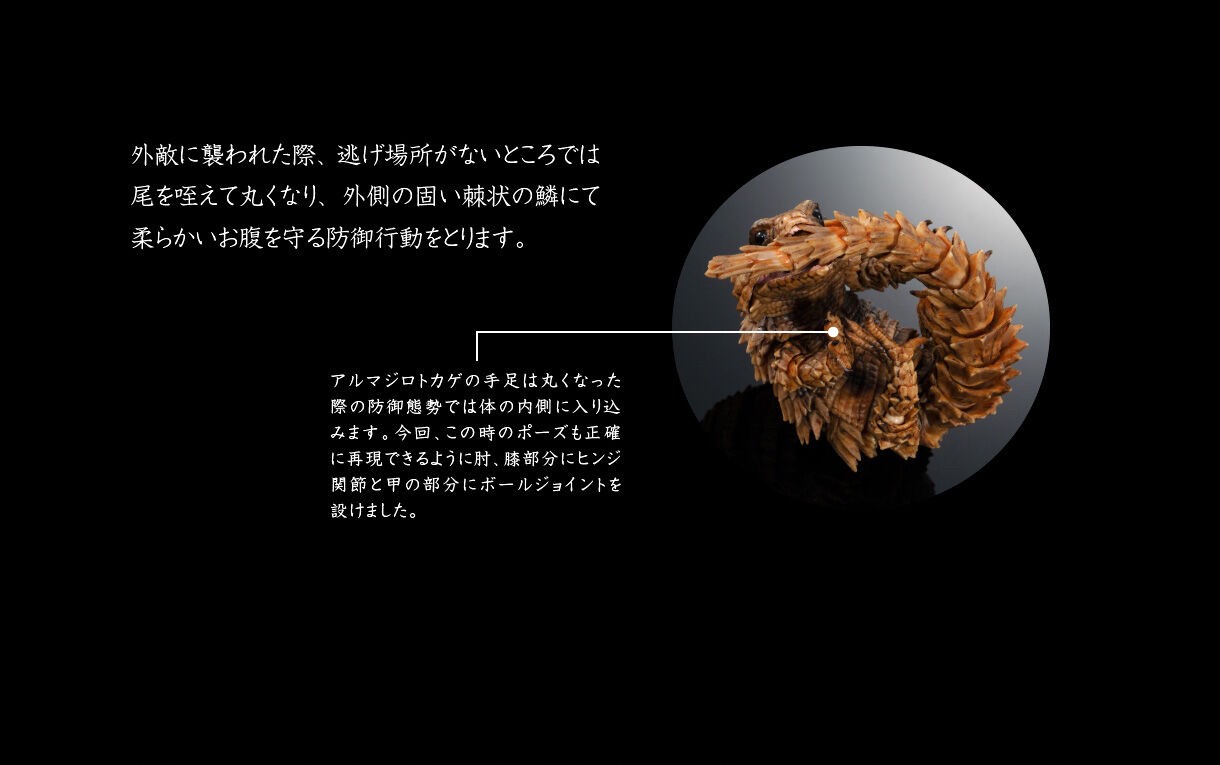 PRE-ORDER : Ikimono Encyclopedia Advance Armadillo Lizards (Random)