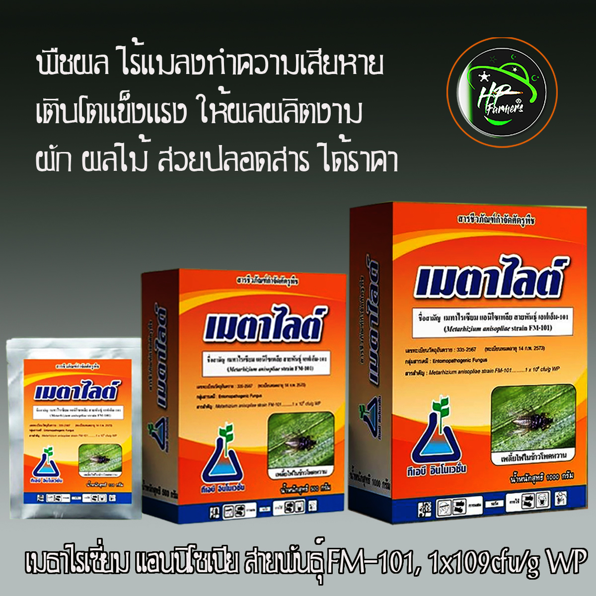 เมตาไลท์[Metarhizium sp, 600g.]: ชีวภัณฑปกป้องพืชและผลิตผลของฟาร์มคุณให้รอดพ้นจากศัตรูพืช หนอน เพลี้ยไฟ ไรเเดงด้วงเเรดมะพร้าว ด้วงหมัดผัก ด้วงอ้อย ด้วงมะพร้าว ปาล์ม อิทผาลัม ด้วงหนวดยาวอ้อย ด้วงเต่ามะเขือ เเมงอีนูน ด้วงงวงน้ำเงิน ฯลฯ ด้วยชีวภัณฑ์ราเขียวเช