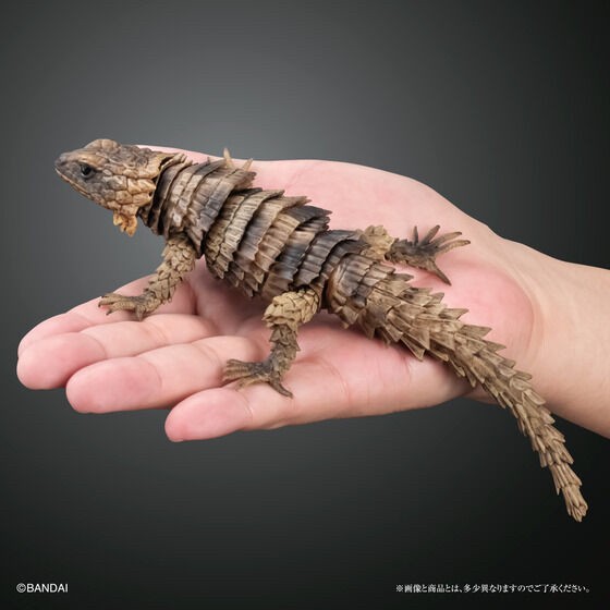 PRE-ORDER : Ikimono Encyclopedia Advance Armadillo Lizards (Random)