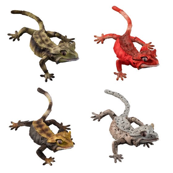 PRE-ORDER : Ikimono Encyclopedia Advance Crested Gecko (Random)