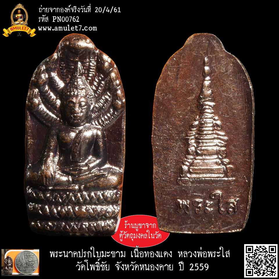 พระนาคปรกใบมะขาม เนื้อทองแดง หลวงพ่อพระใส พระศักดิ์สิทธิ์คู่บ้านคู่เมือง วัดโพธิ์ชัย หนองคาย ปี 2559