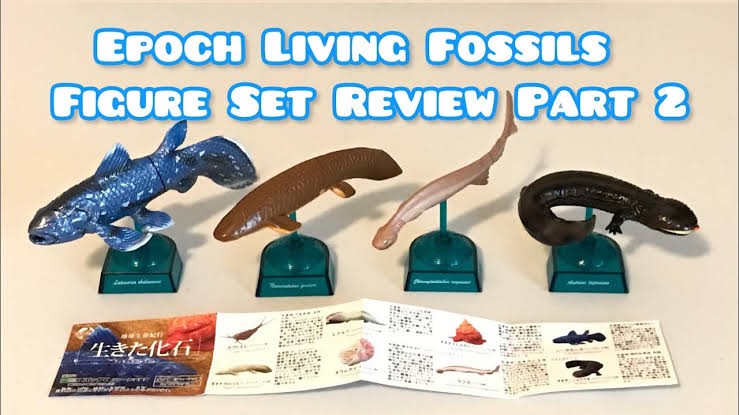 กาชาปอง Earth Life Journey Living Fossil Collection Gashapon (Set of 6) by EPOCH