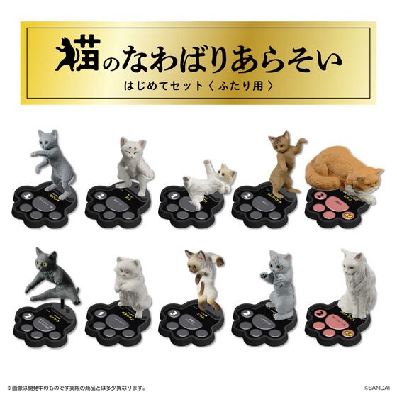 PRE-ORDER : Cat's Territory Battle First Set <For Two Person> ~Territory of Cat CAFE/Territory of Celebrity House~