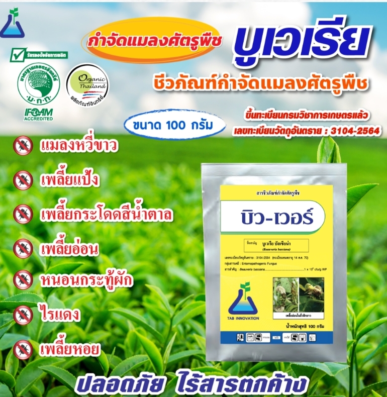 ชีวภัณฑ์แบคทีเรีย(บิว-เวอร์) ป้องกันกำจัดแมลง หนอน เพลี้ย ไรแดง แมลงร้ายต่างๆดื้อยา เลือกบิว-เวอร์ เอาอยู่ครับ ปลอดภัยต่อใช้ ไม่มีสารตกค้าง