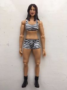 WWE Adrenaline World Wrestling Series Eight: Victoria & Steven Richards