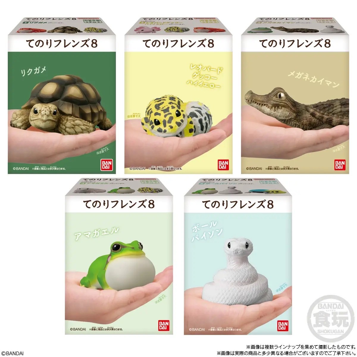 Tenori Friends 8 Reptiles & Amphibians