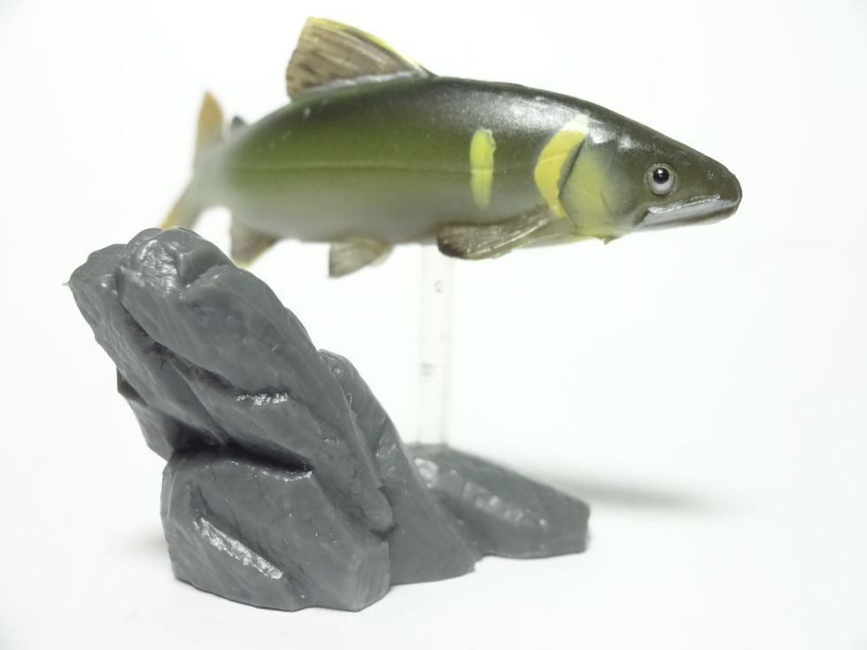 กาชาปอง Freshwater Fish Collection vol. 1 Gashapon (Set of 13) by Yujin