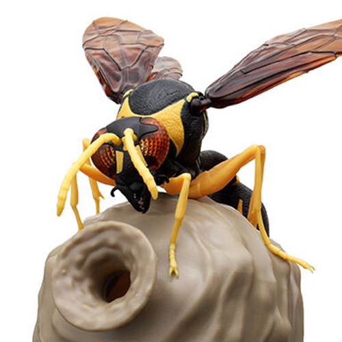 $ Ikimono Encyclopedia Potter Wasp 01
