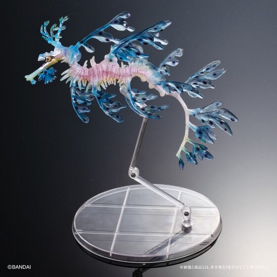PRE-ORDER : Ikimono Encyclopedia Premium Leafy seadragon