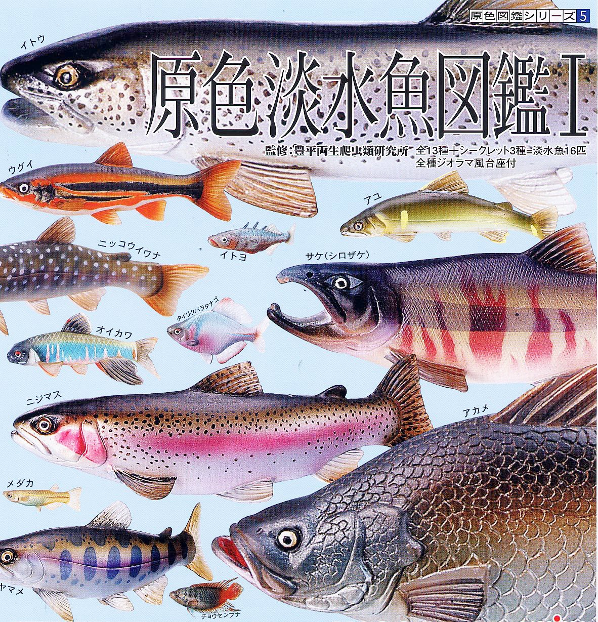 กาชาปอง Freshwater Fish Collection vol. 1 Gashapon (Set of 13) by Yujin