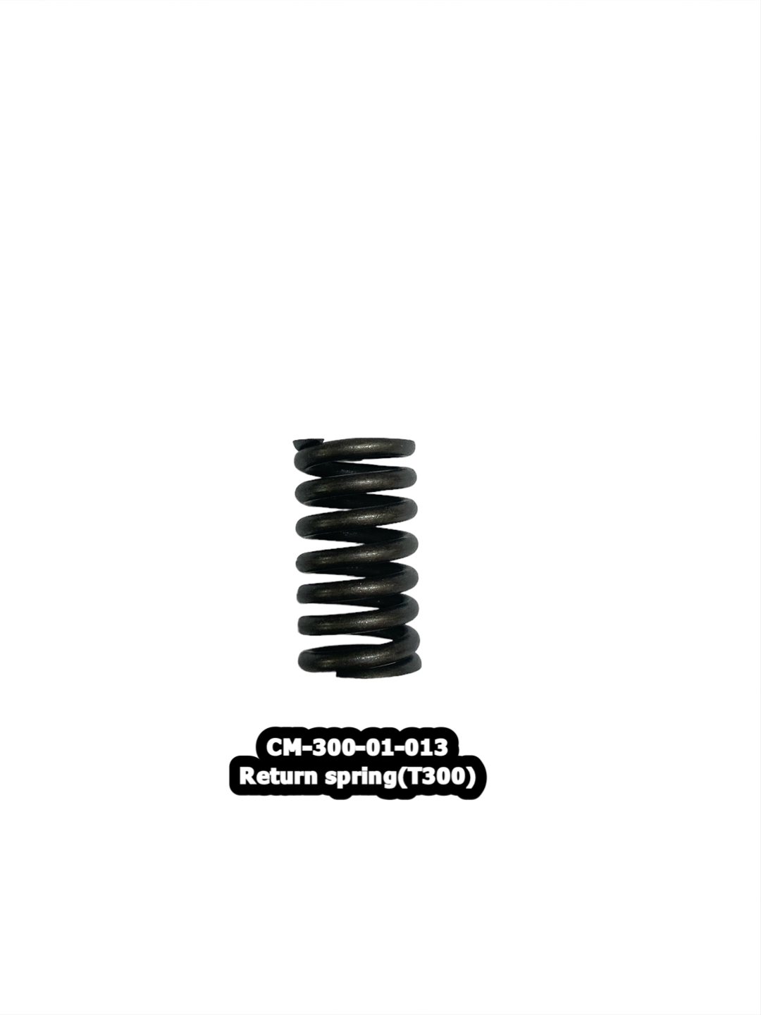 300-01-013 Return spring(T300)