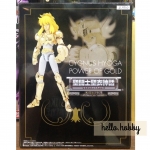 Saint Seiya Saint Cloth Myth Cygnus Hyoga Power of Gold by Bandai