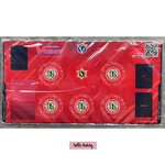 สนามยางแวนการ์ด Playmat Vanguard