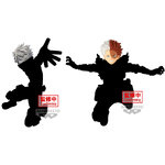 Pre-order : MY HERO ACADEMIA THE AMAZING HEROES -PLUS- SHOTO TODOROKI / DX- KATSUKI BAKUGO