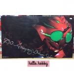 DX Amazons Driver Set by Premium Bandai