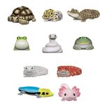 PRE-ORDER : Tenori Friends 8 (12 pcs)