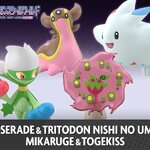 PRE-ORDER : Pokemon Scale World Sinnoh Roserade & Tritodon (Nishi no Umi) & Mikaruge & Togekiss