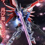 PRE-ORDER : [Lottery sale] METAL ROBOT Spirits <SIDE MS> Destiny Gundam SpecII