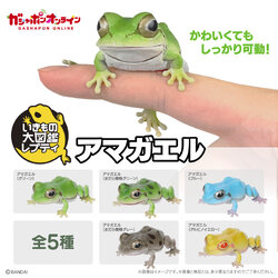 $R Ikimono Encyclopedia Reptile Tree Frog