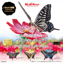 PRE-ORDER 2024.09 : Ikimono Encyclopedia Advance Swallowtail Butterfly Display Stand Set (PB)