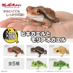 CPRE-ORDER 2024.10 : Ikimono Encyclopedia Reptile Japanese Tree Frog & Zhang's Tree Frog
