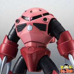 !$ ROBOT SPIRITS -SIDE MS- MSM-07S Char's Z'Gok ver. A.N.I.M.E.
