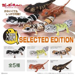 $ Ikimono Encyclopedia Reptile SELECTED EDITION
