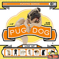 $ PUTITTO - Pug
