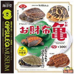 Capsule Q Museum Good Luck Charm Wallet Turtle
