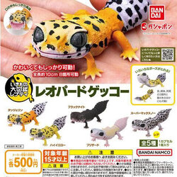 Ikimono Encyclopedia Reptile Leopard Gecko 01