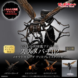 $ Ikimono Encyclopedia Advance Wasp 02 Display Stand Set (PB)