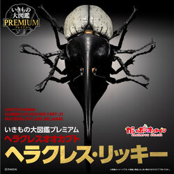 $ Ikimono Encyclopedia Premium Hercules Beetle - Dynastes hercules lichyi (PB)