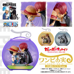 PRE-ORDER 2024.10 : One Piece ONEPI NO MI 25th Anniversary Memorial Ver. (PB)
