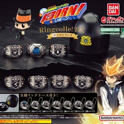 CPRE-ORDER 2025.04 : KATEKYO HITMAN REBORN RINGCOLLE DX VONGOLA RING