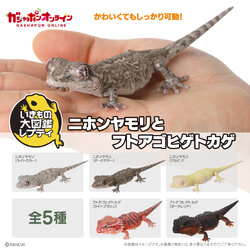 $ Ikimono Encyclopedia Reptile Schlegel's Japanese Gecko & Bearded Dragon