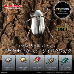 $ Ikimono Encyclopedia Advance Jewel Scarab & Rainbow Stag Beetle (PB)