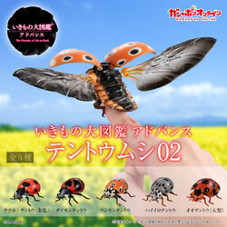 $ Ikimono Encyclopedia Advance Ladybird 02 (PB)