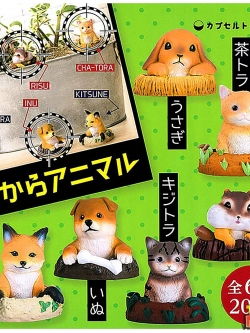 !$ Animal from the Hole