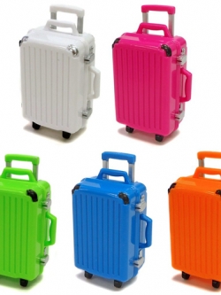 $ Who gets?! I get!! SELECTION Suitcase