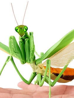 $ Ikimono Encyclopedia Mantis 01