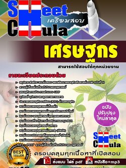 pv40 เศรษฐกร