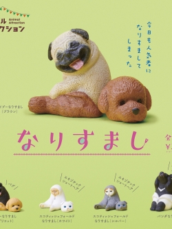 !$ ANIMAL ATTRACTION Narisumashi