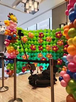 แบคดรอปสำหรับกล้อง 360องศา